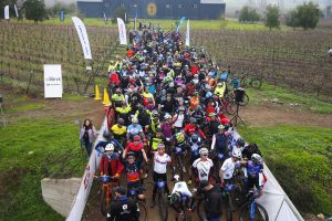 Francisco Rivera se quedó con la tercera fecha del Mountain Bike Tour by Trek Subaru disputado en la Viña Valle Secreto en Malloa 1 HL MTBTOUR VALLE SECRETO GCASO 09