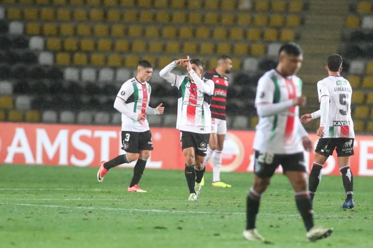 Palestino logró un importante triunfo frente a Flamengo por Libertadores 17 1715136738128_DWS_2024_0