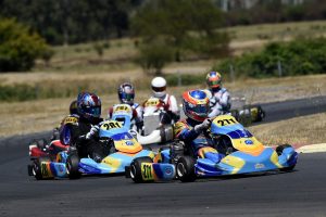 WhatsApp Image 2025 01 12 at 12.08.28