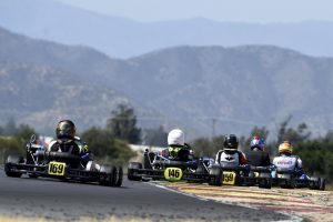 WhatsApp Image 2025 01 12 at 12.08.31