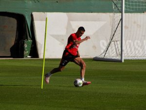 WhatsApp Image 2025 03 18 at 11.50.12